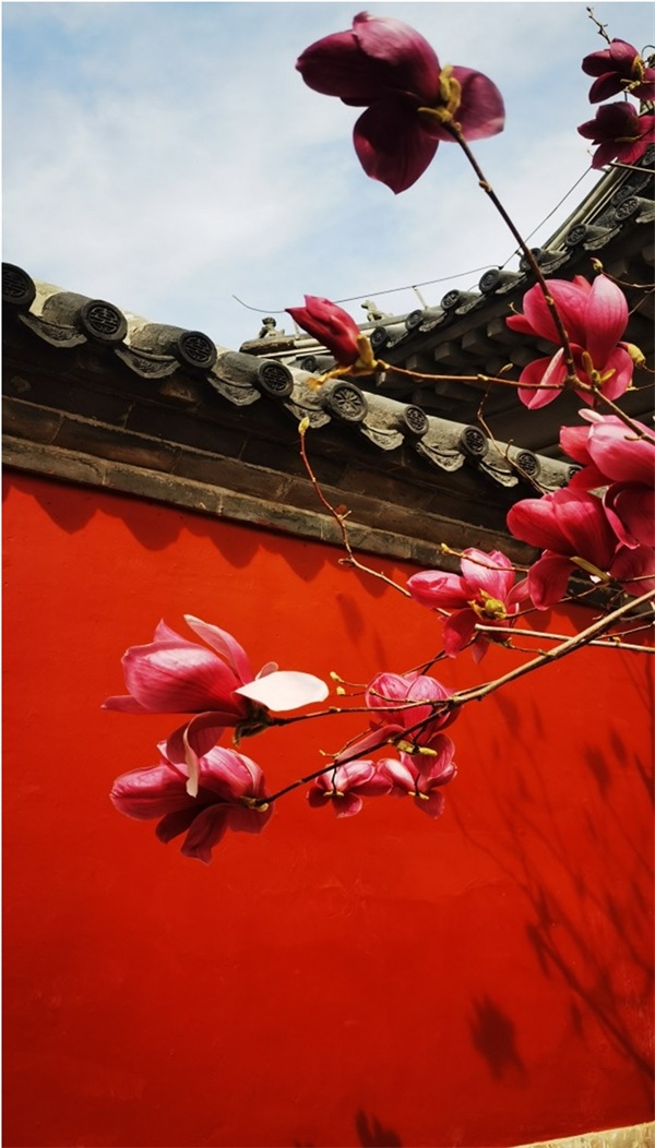 CA88集团(中国区) - 唯一官方网站