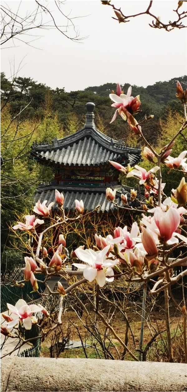 CA88集团(中国区) - 唯一官方网站