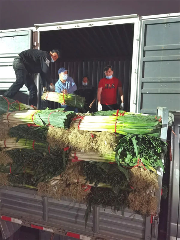 CA88集团(中国区) - 唯一官方网站