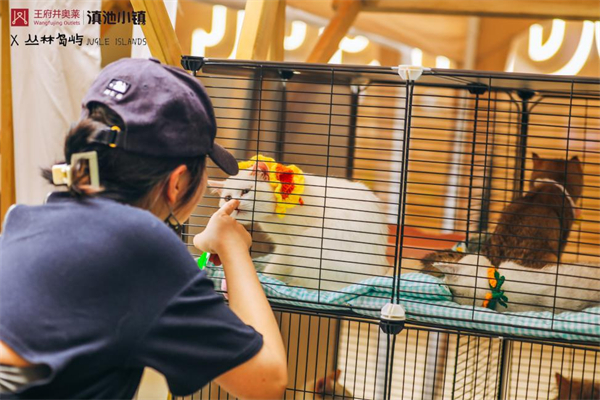 CA88集团(中国区) - 唯一官方网站