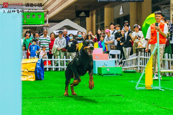 CA88集团(中国区) - 唯一官方网站