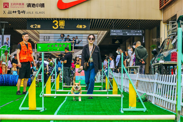 CA88集团(中国区) - 唯一官方网站